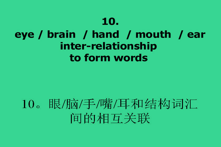 10. Left and right brain