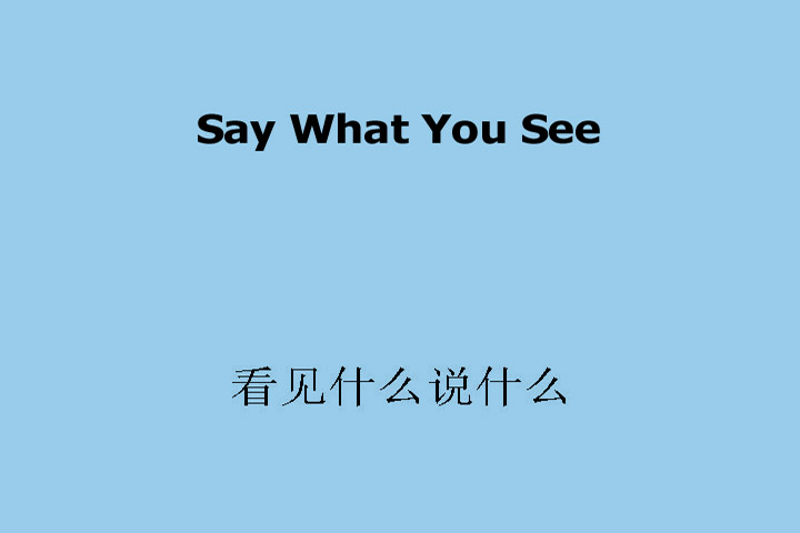Say What You See