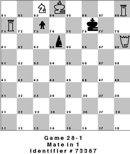Game 28-1