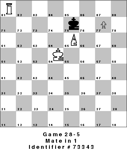 Game 28-5