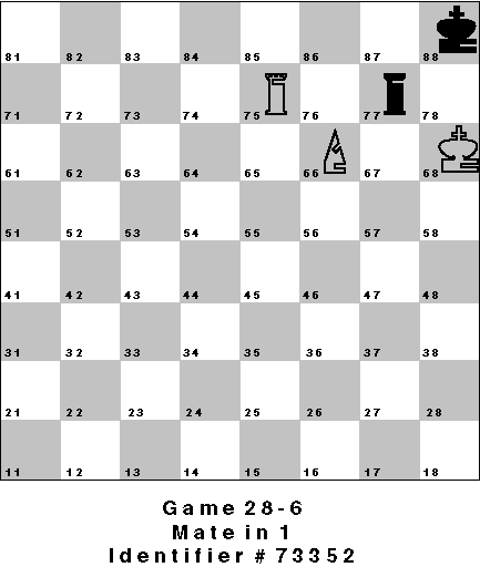 Game 28-6