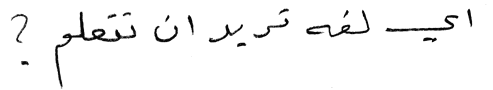 What Language to Learn in Arabic