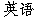 English in Chinese