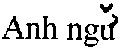 English in Vietnamese