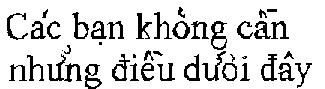 Not Necessary in Vietnamese