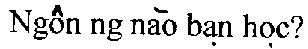 What Language to Learn in Vietnamese